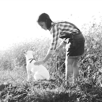 alivemoment AI animation tool